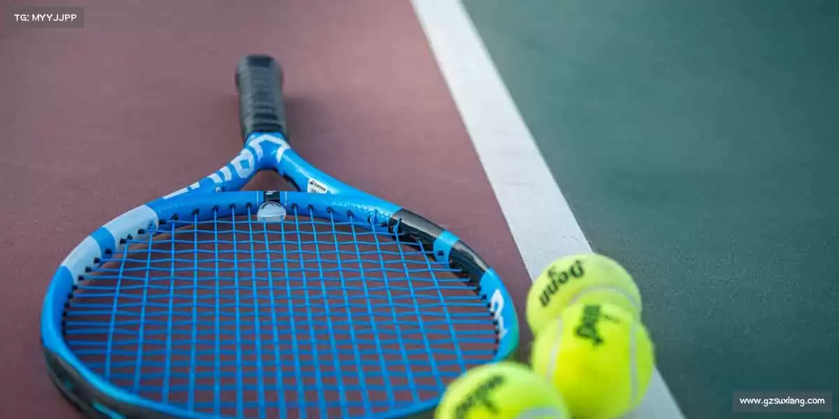 欧陆娱乐——🎯射箭屏息，精准命中你的热爱🎯